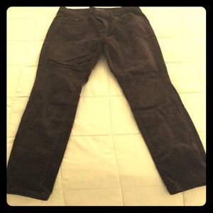 Ann Taylor black pants
